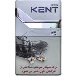 خرید سیگار کنت سیلور ۴ | Kent Silver 4